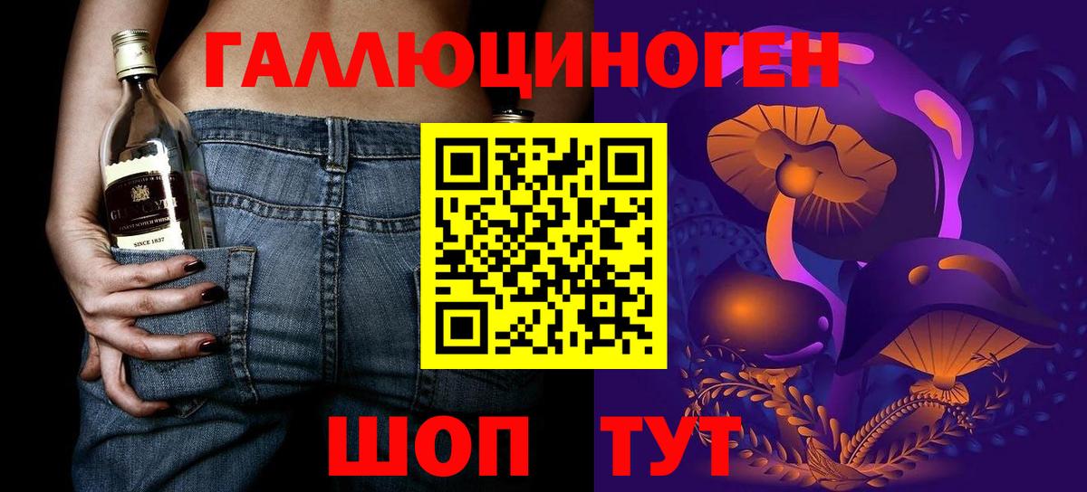 Бийск  Галлюциногенные грибы Psilocybine cubensis  Вход с VPN 